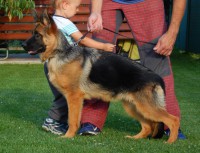 /album/fotogaleria-photos3/etna-postoj-jpg1/